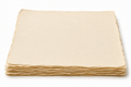 A3  Wasli Paper  Pack of 10 Sheets